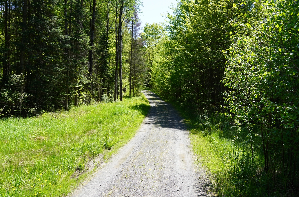 34a